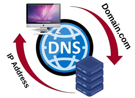 Dns in internet technology stands for группа выборов ответов